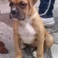 Aquí mi Pimpon a los dos meses y medio